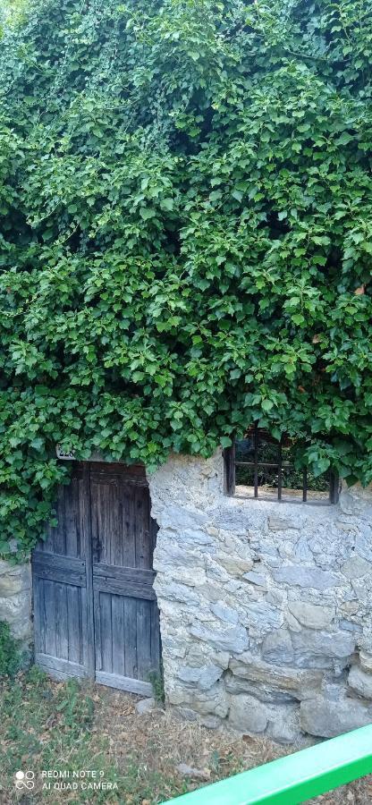 Agriturismo Vecchio Frantoio Villatella Extérieur photo